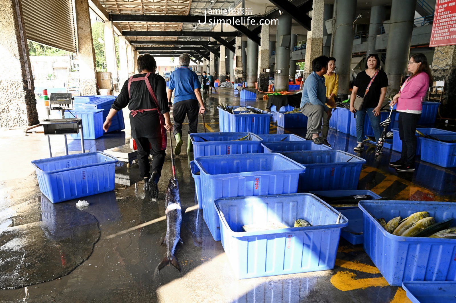 旗魚重鎮「新港漁港」漁獲當天新鮮供應中