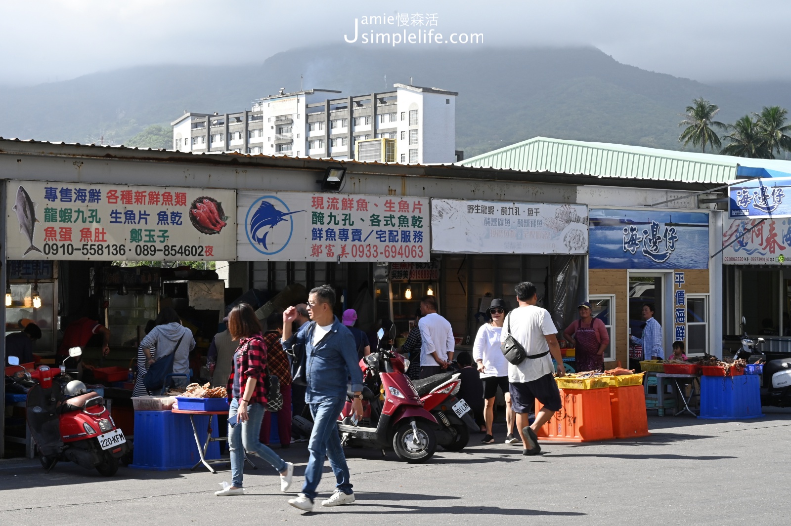 成功漁港周邊專門料理海產的店家