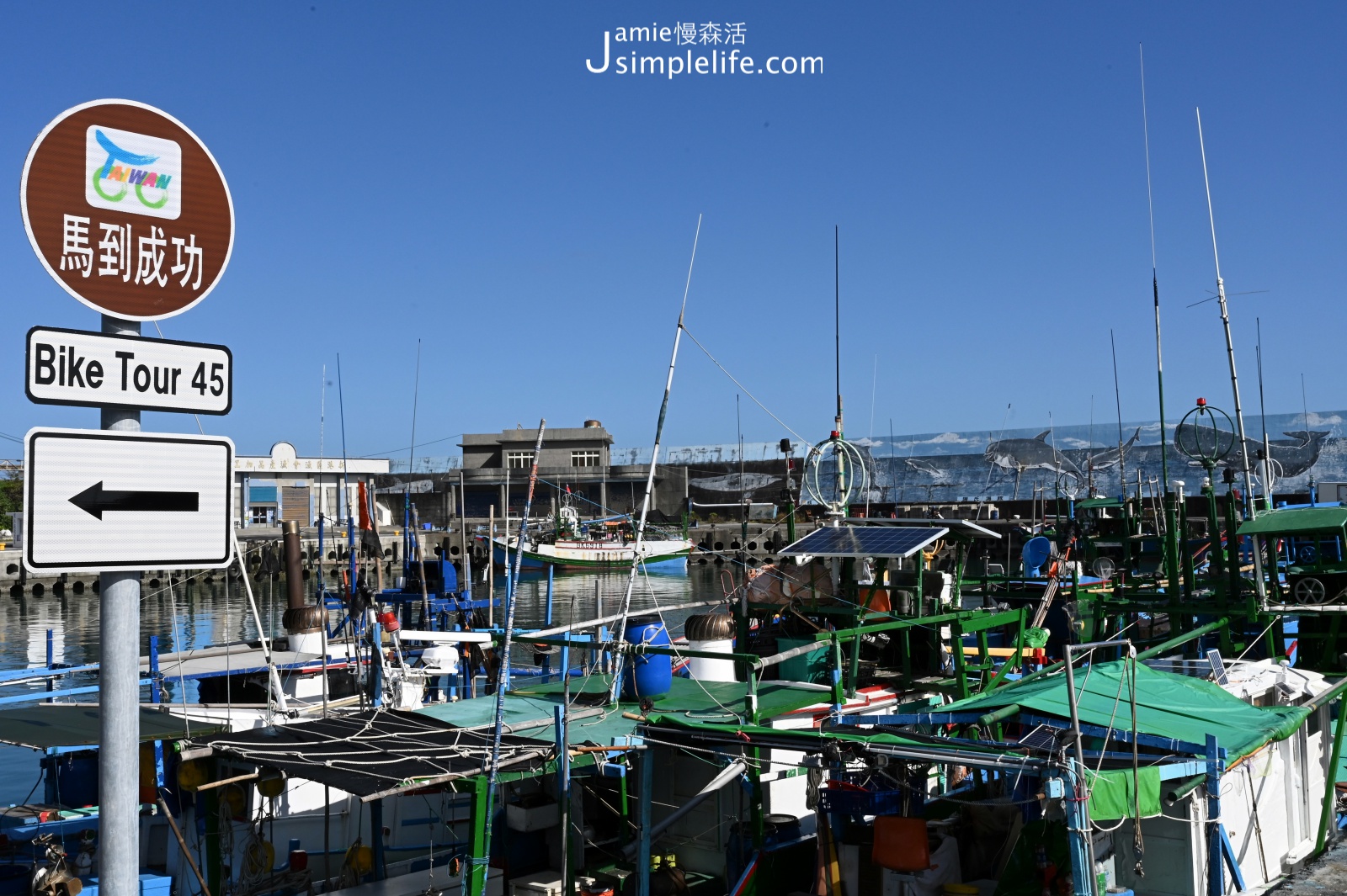 東部海岸第一大港「成功漁港」