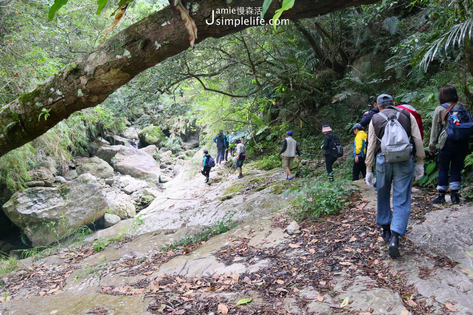 台東成功鎮一定要來的景點 麻荖漏步道