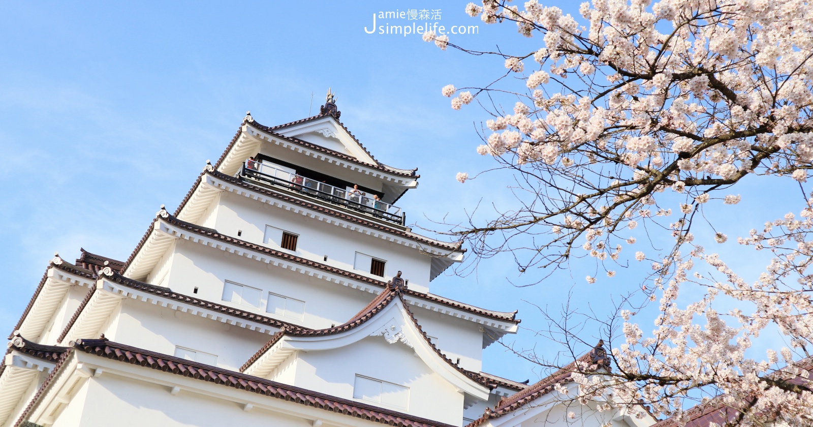 日本福島「會津若松城」與粉白色的櫻花合影
