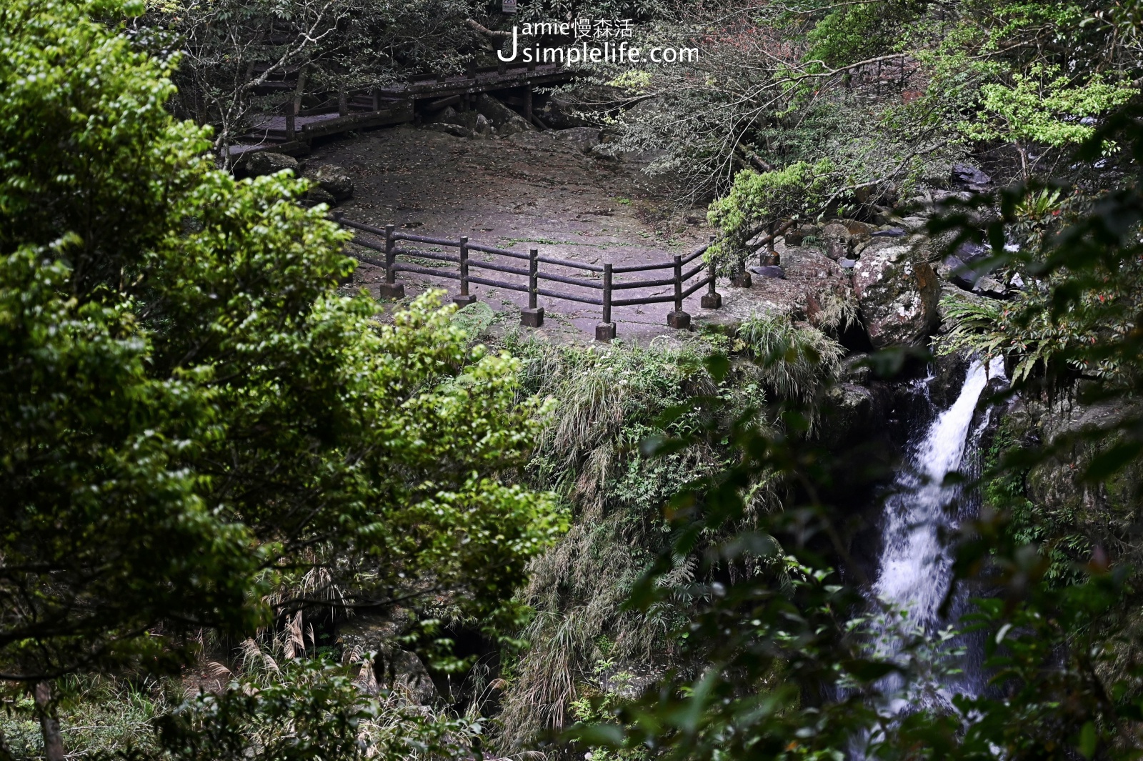 三峽｜滿月圓國家森林遊樂區