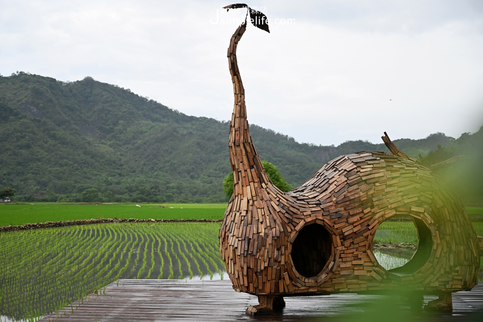 2021縱谷大地藝術季-漂鳥197  伊祐噶照-貓咪種子