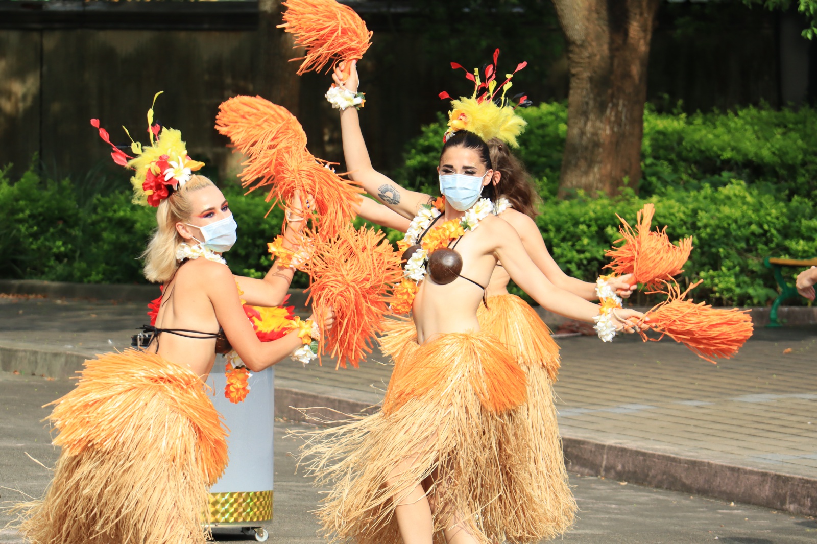 夏季限定熱情ALOHA南太平洋島國活力舞蹈秀，炒熱現場氣氛。圖 六福村提供