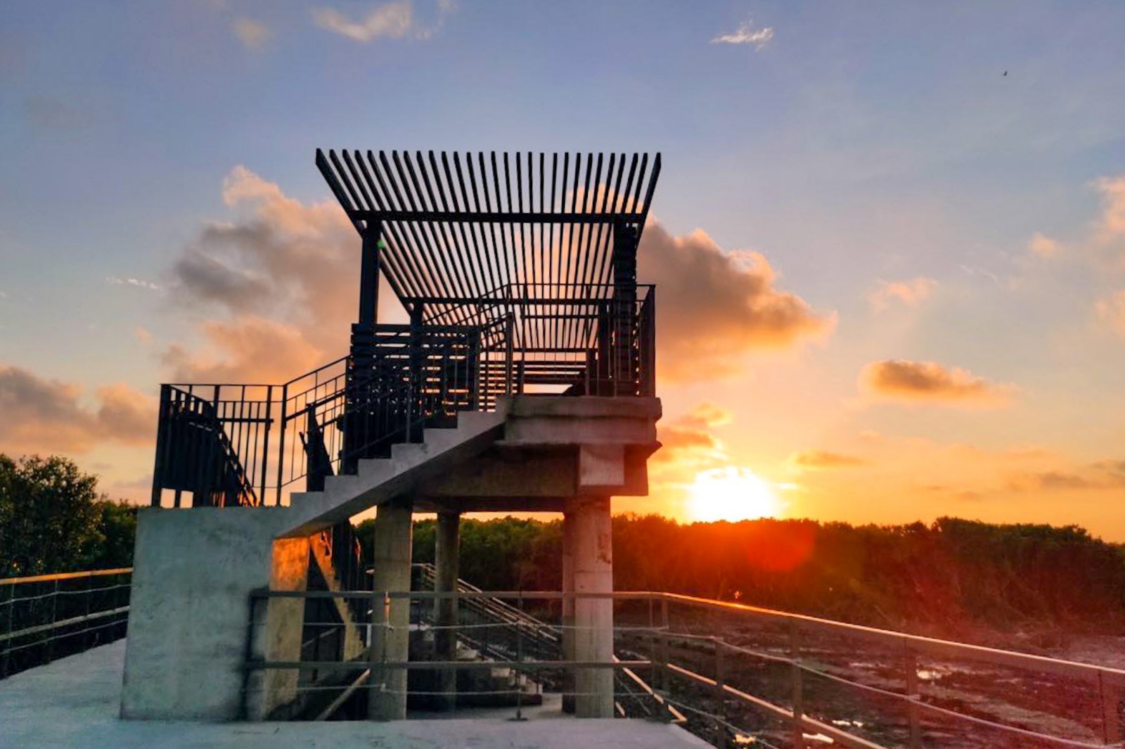 漫步彰化純白「芳苑濕地紅樹林」海空步道，觀夕陽新景點