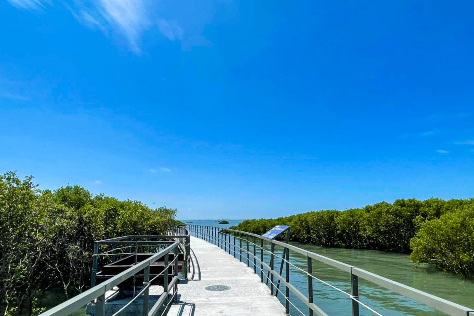 漫步彰化純白「芳苑濕地紅樹林」海空步道，觀夕陽新景點