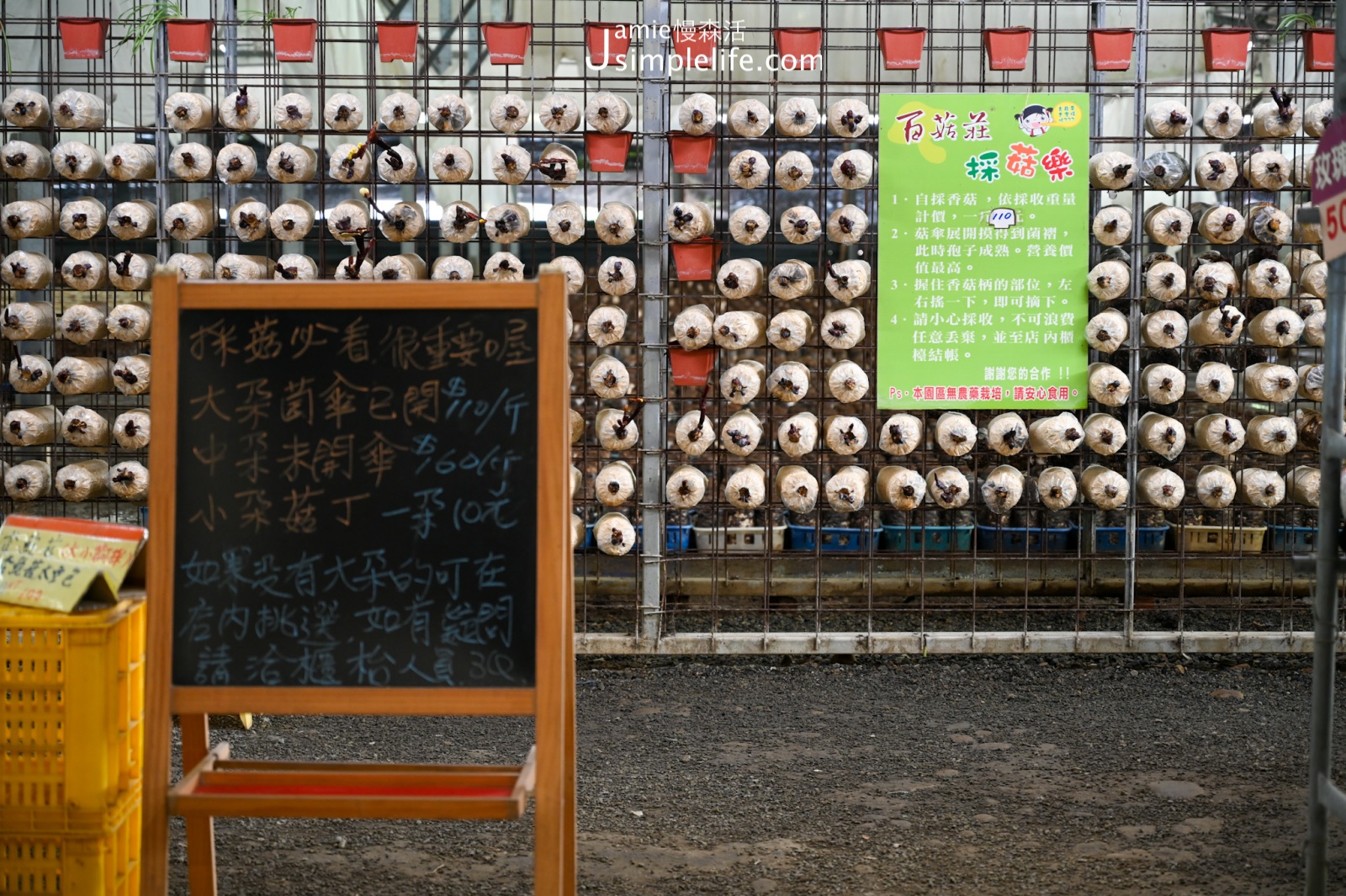 實踐菇類循環再生台中「新社百菇莊」