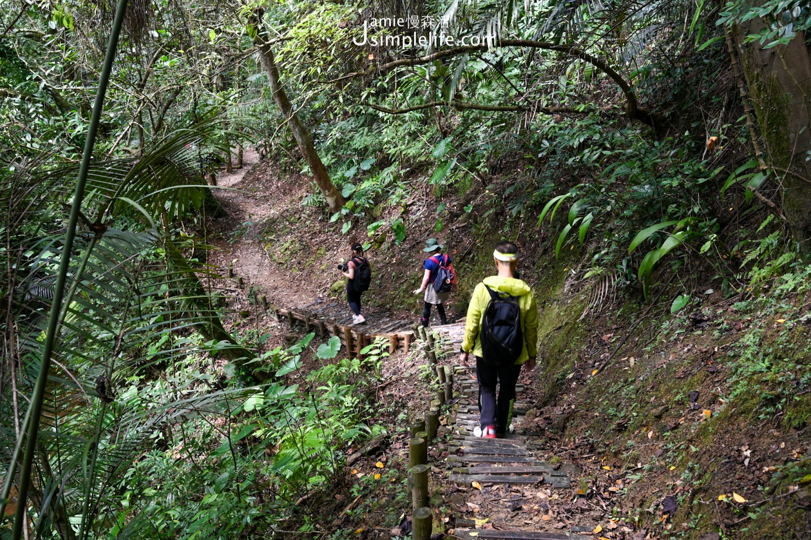 新北「悠遊深石平」緩步景點 嶺腳寮山步道