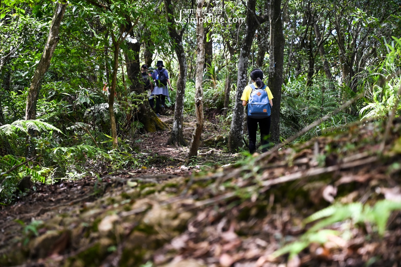 新北悠遊深石平 嶺腳山步道