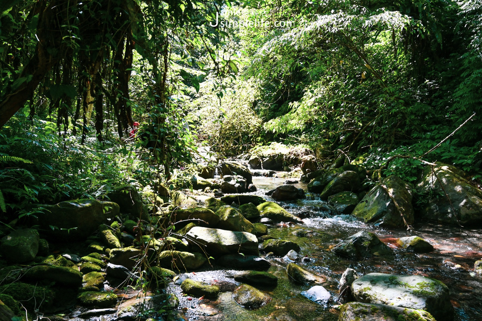 宜蘭松羅國家步道 松羅溪