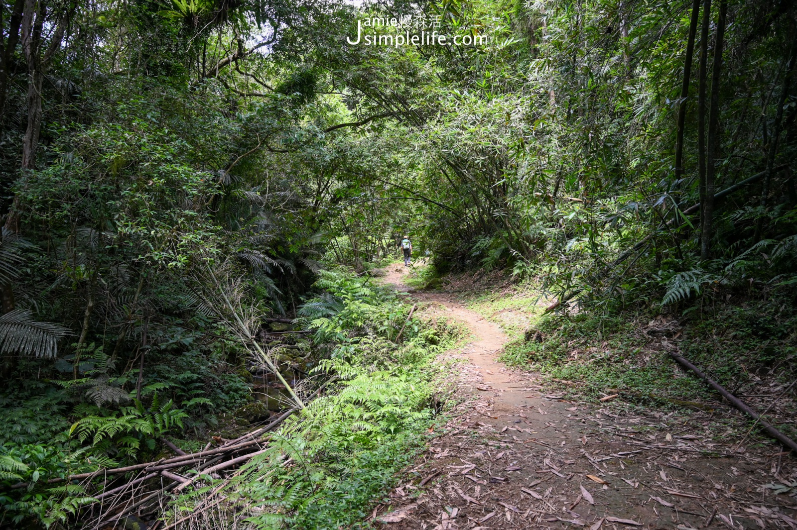 新北平溪嶺腳寮山步道