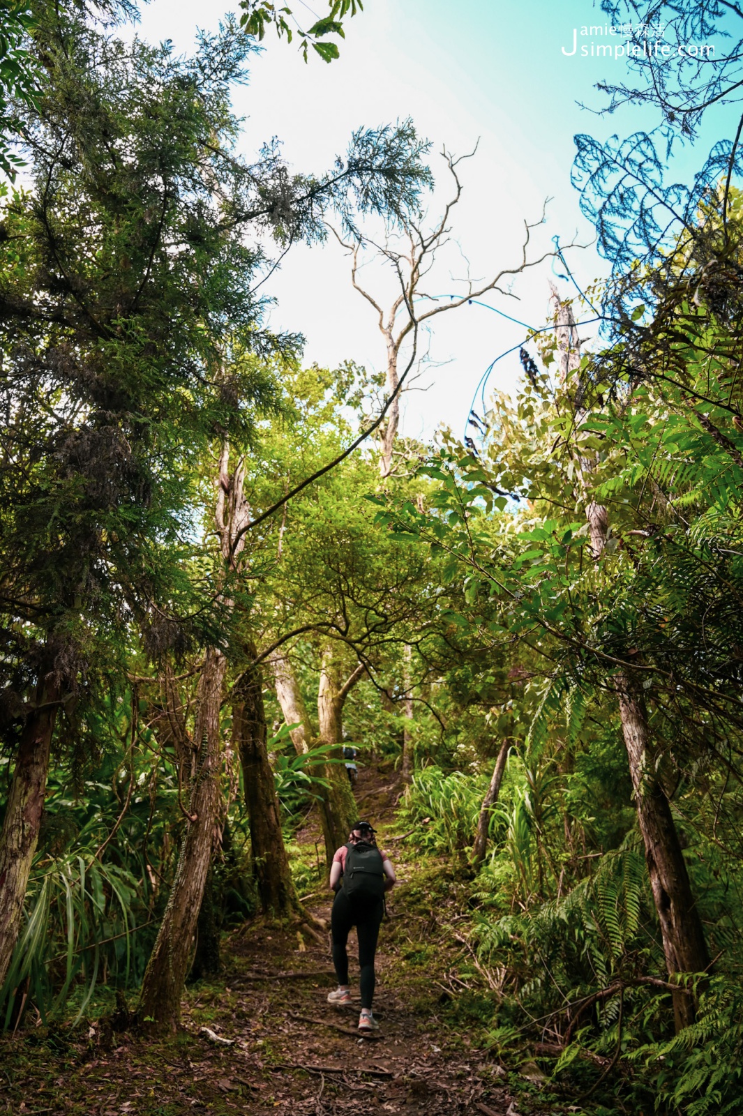 新北平溪嶺腳寮登山步道