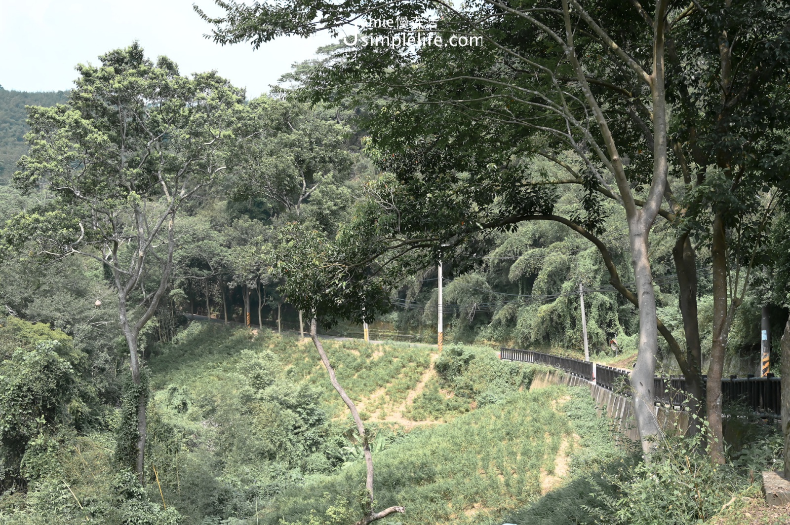 苗栗大湖鄉 大窩生態園區 台三線