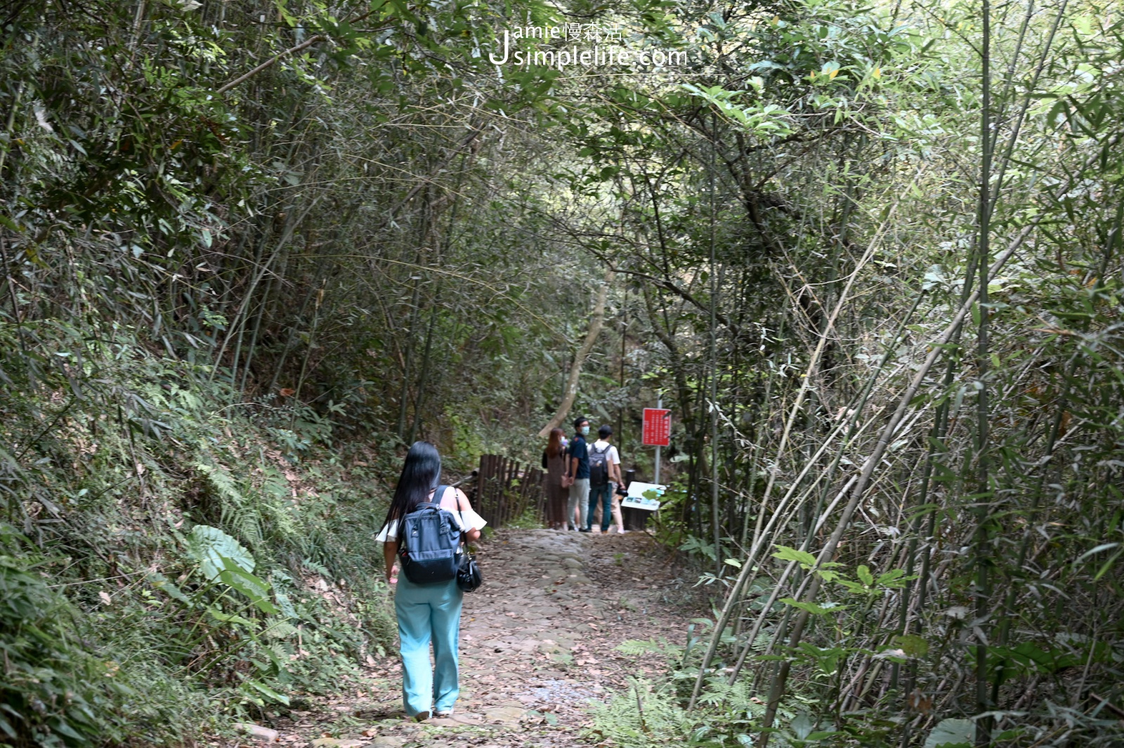 苗栗大湖鄉 大窩生態園區 伯公潭古圳道