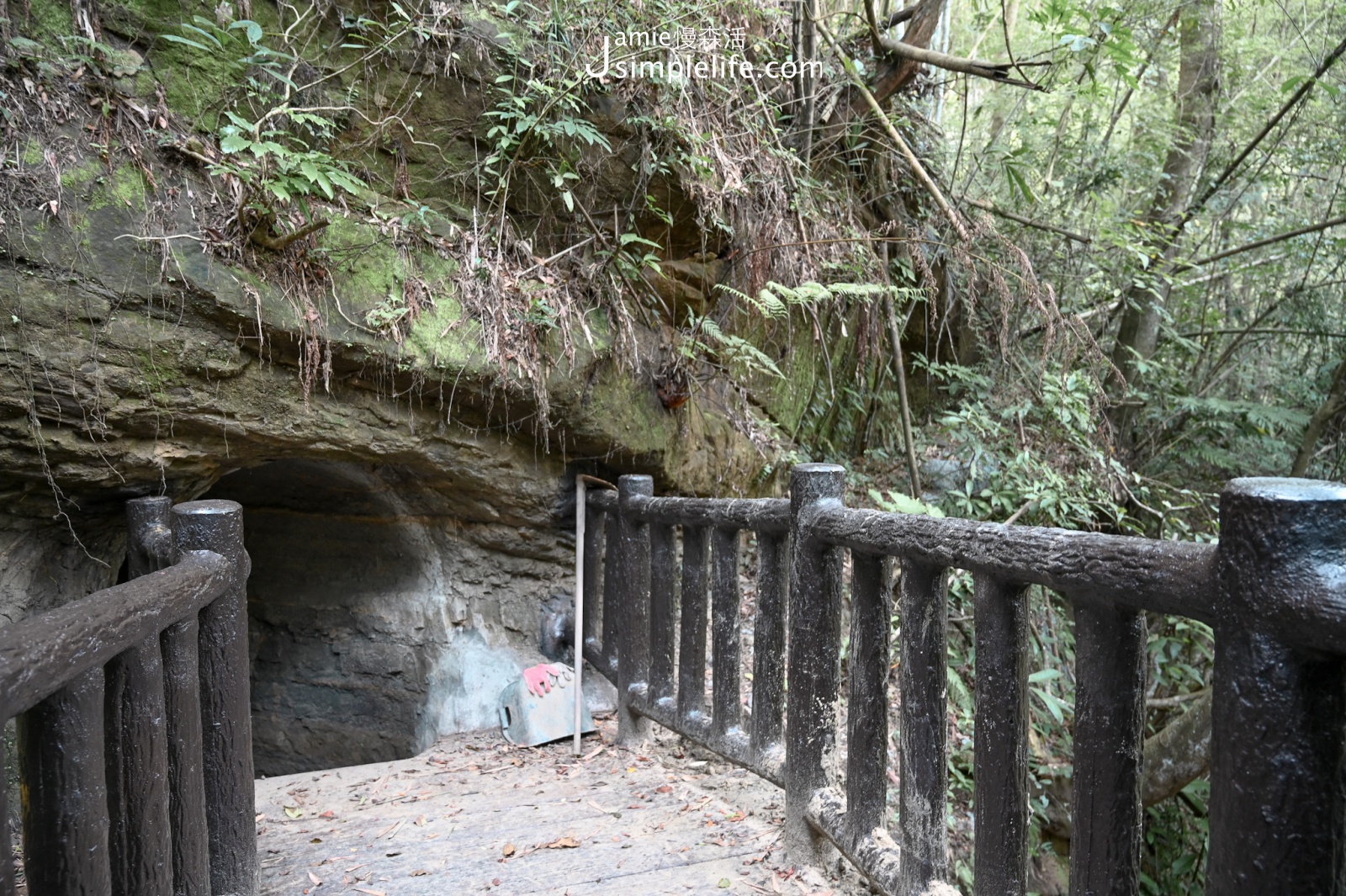 苗栗大湖鄉 大窩生態園區 伯公潭古圳道