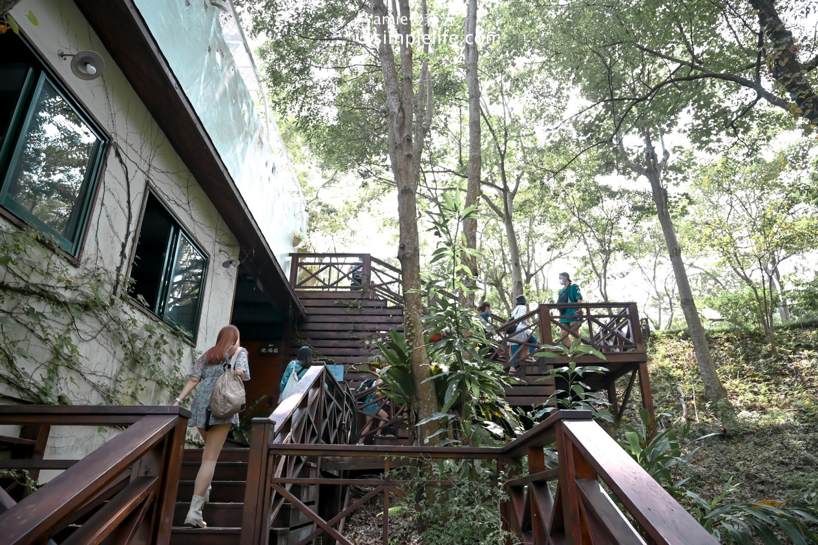 苗栗大湖 湖畔花時間溫泉民宿餐廳 星橋樓梯