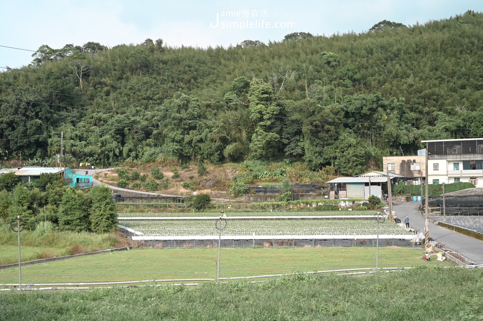 苗栗大湖鄉馬那邦休閒農業區