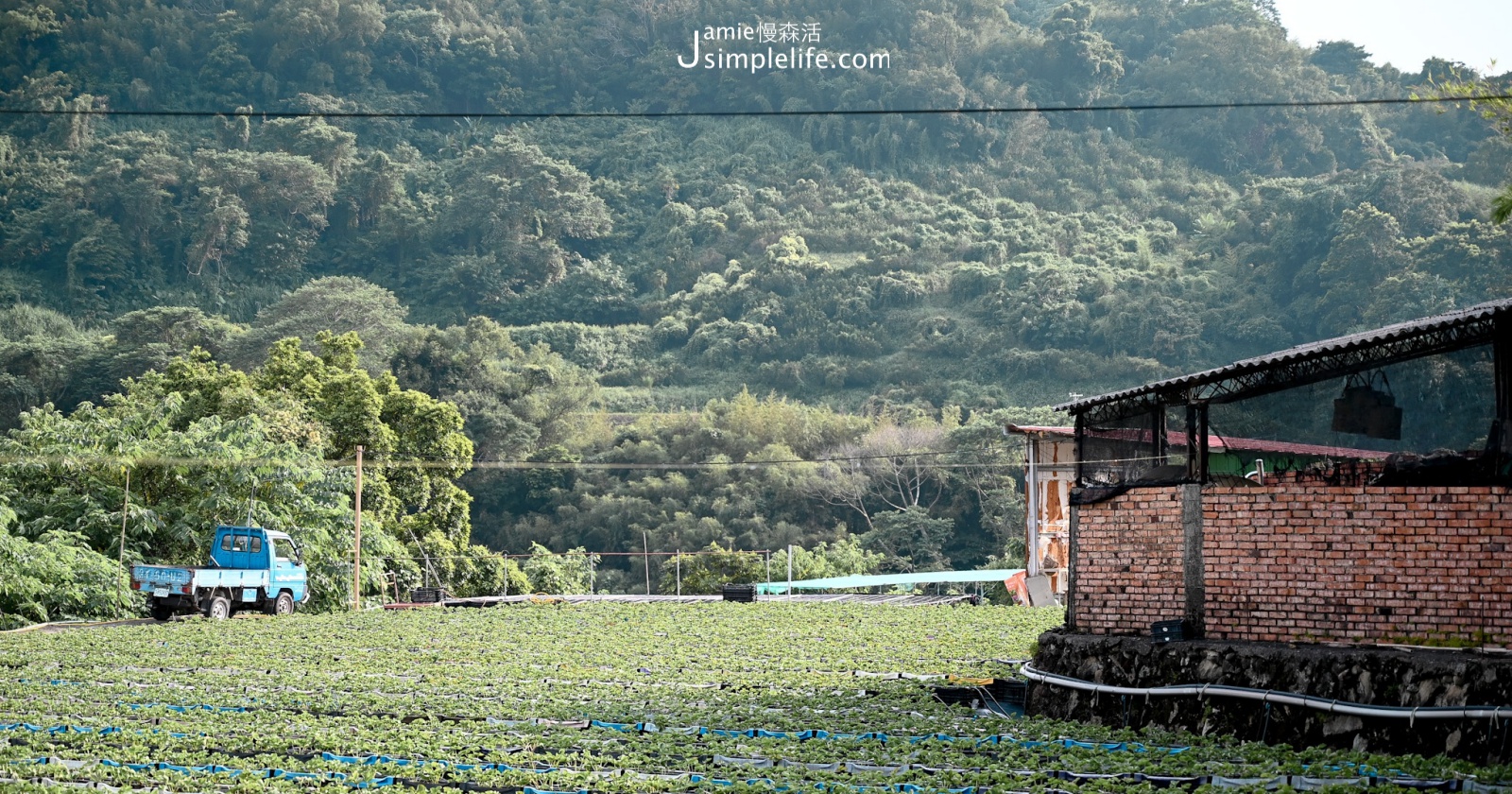 實境遊戲打開體驗新風景！探索苗栗馬那邦景點、美食住宿