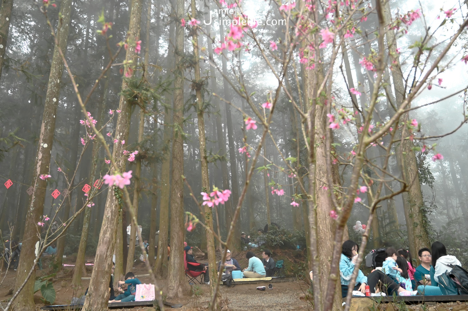 新竹北埔森窯野餐區