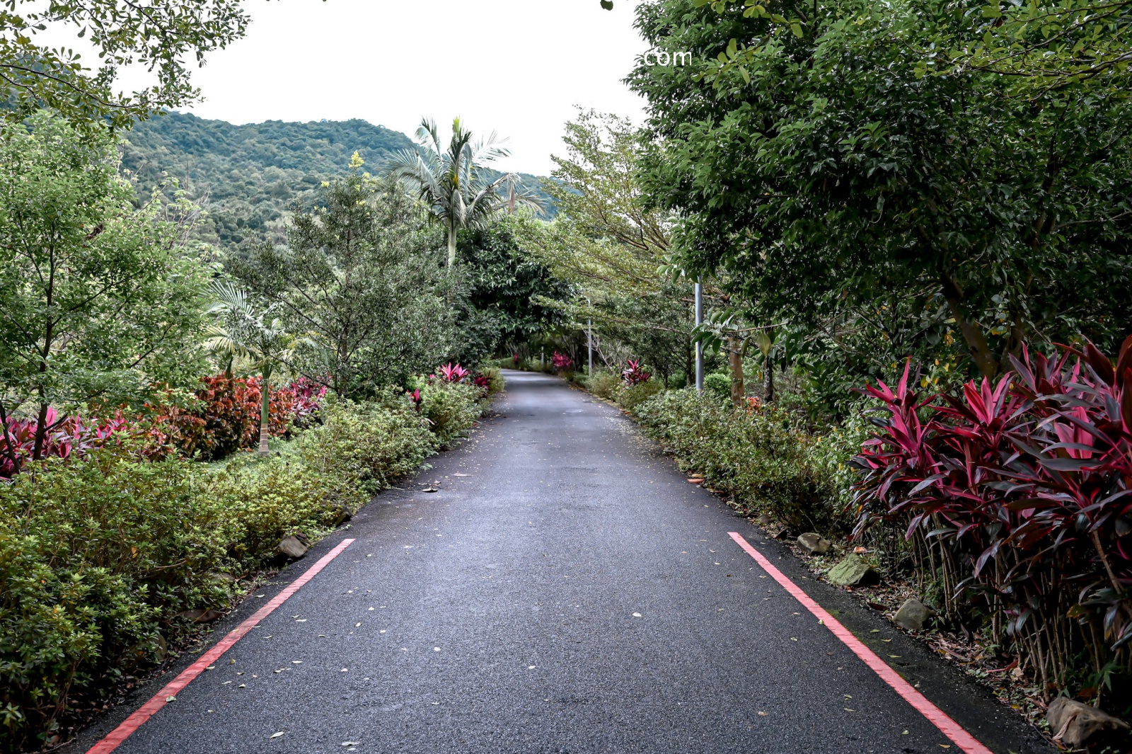 往姜子寮絕壁道路