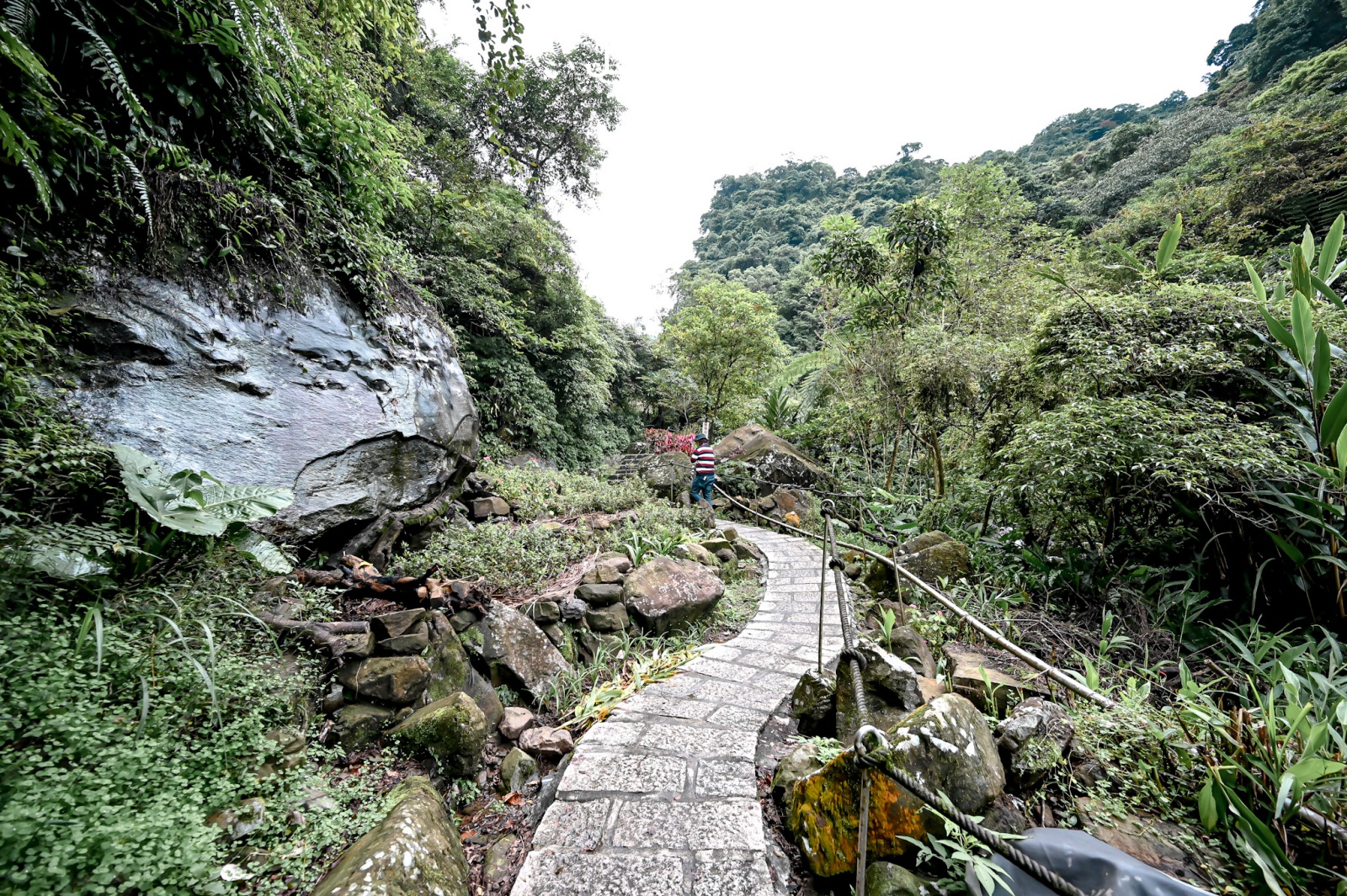 新北汐止姜子寮絕壁步道 景觀