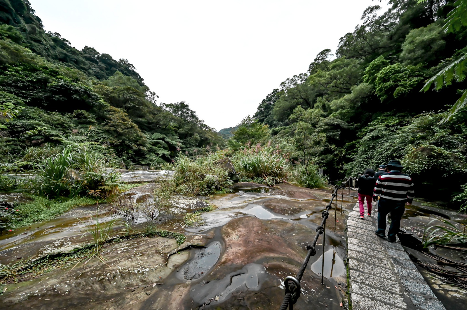 新北汐止姜子寮絕壁步道 特殊景觀