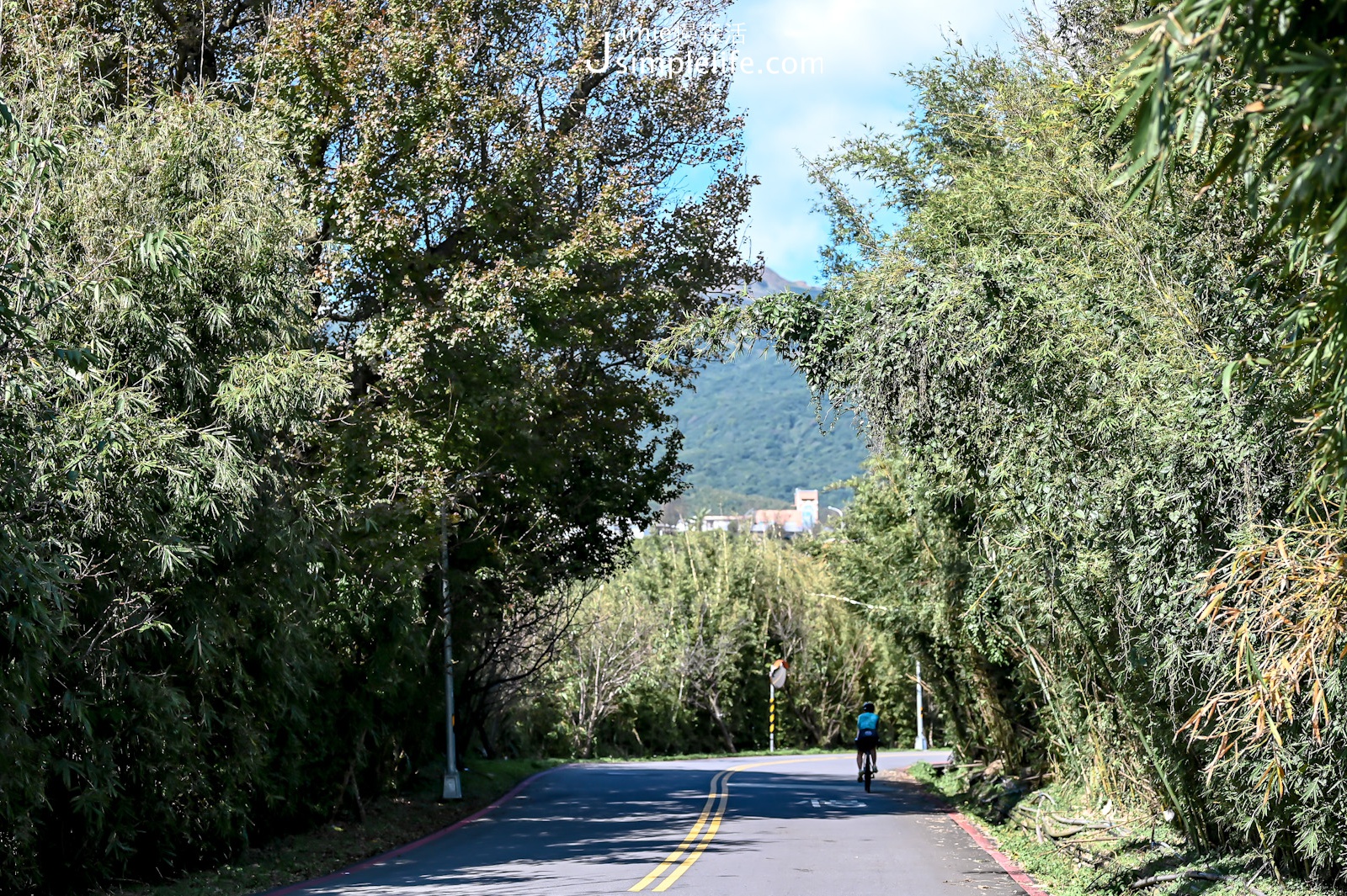 陽明山菁山路 山林景色