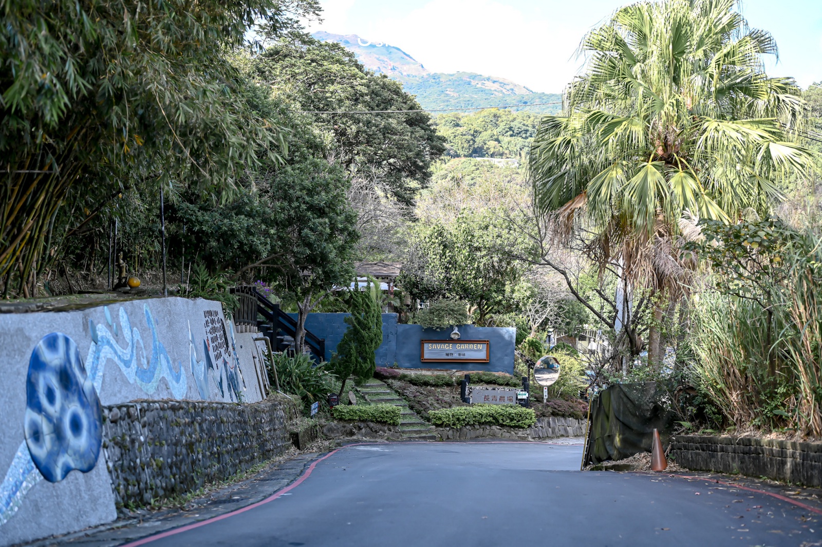 陽明山菁山路 野人花園咖啡館