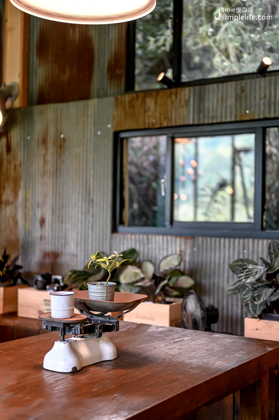 陽明山野人花園咖啡館 室內座位