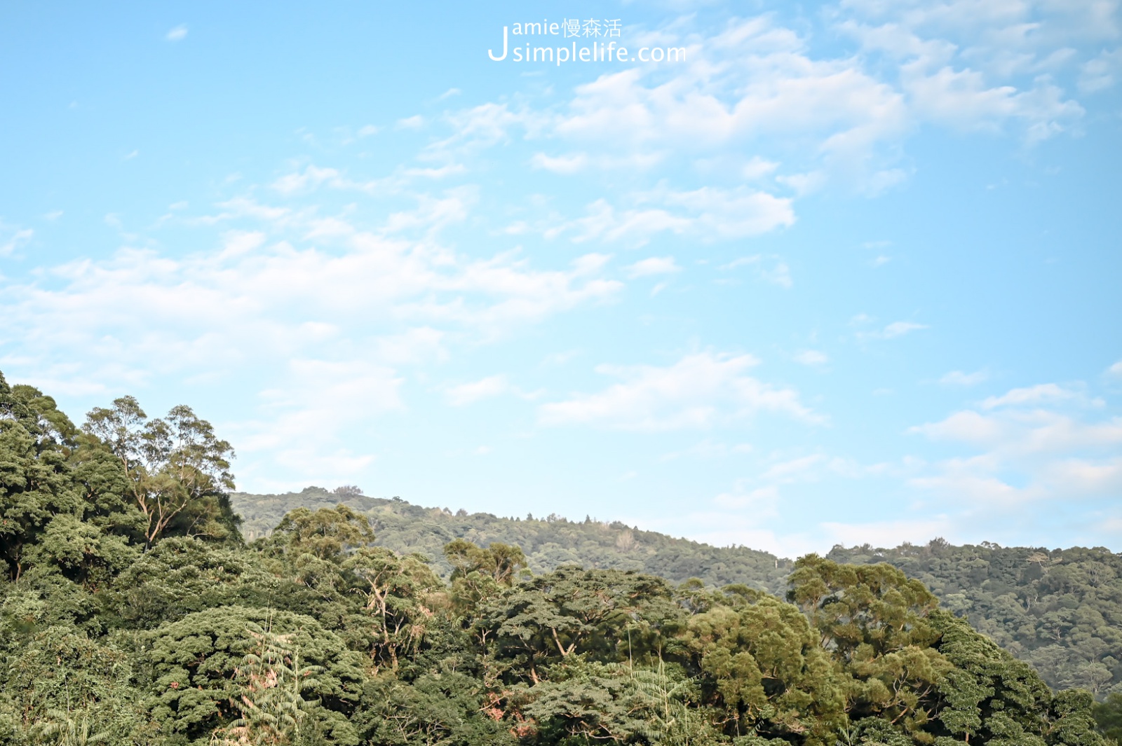 陽明山野人花園咖啡館 向外望山景