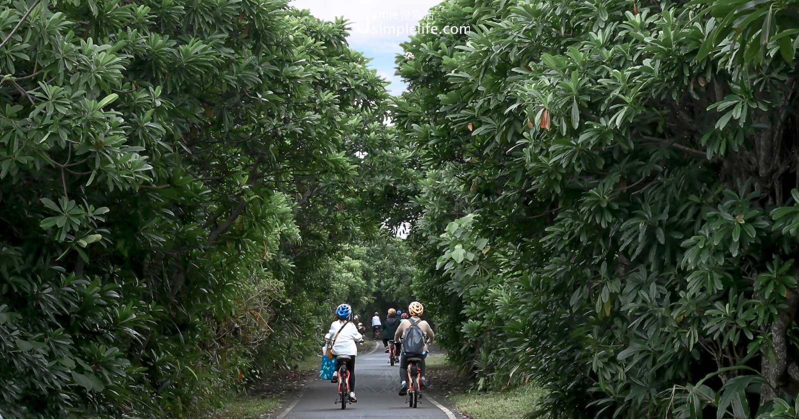 漫遊宜蘭壯圍小農！電動輔助自行車揭地景藝術、美食景點
