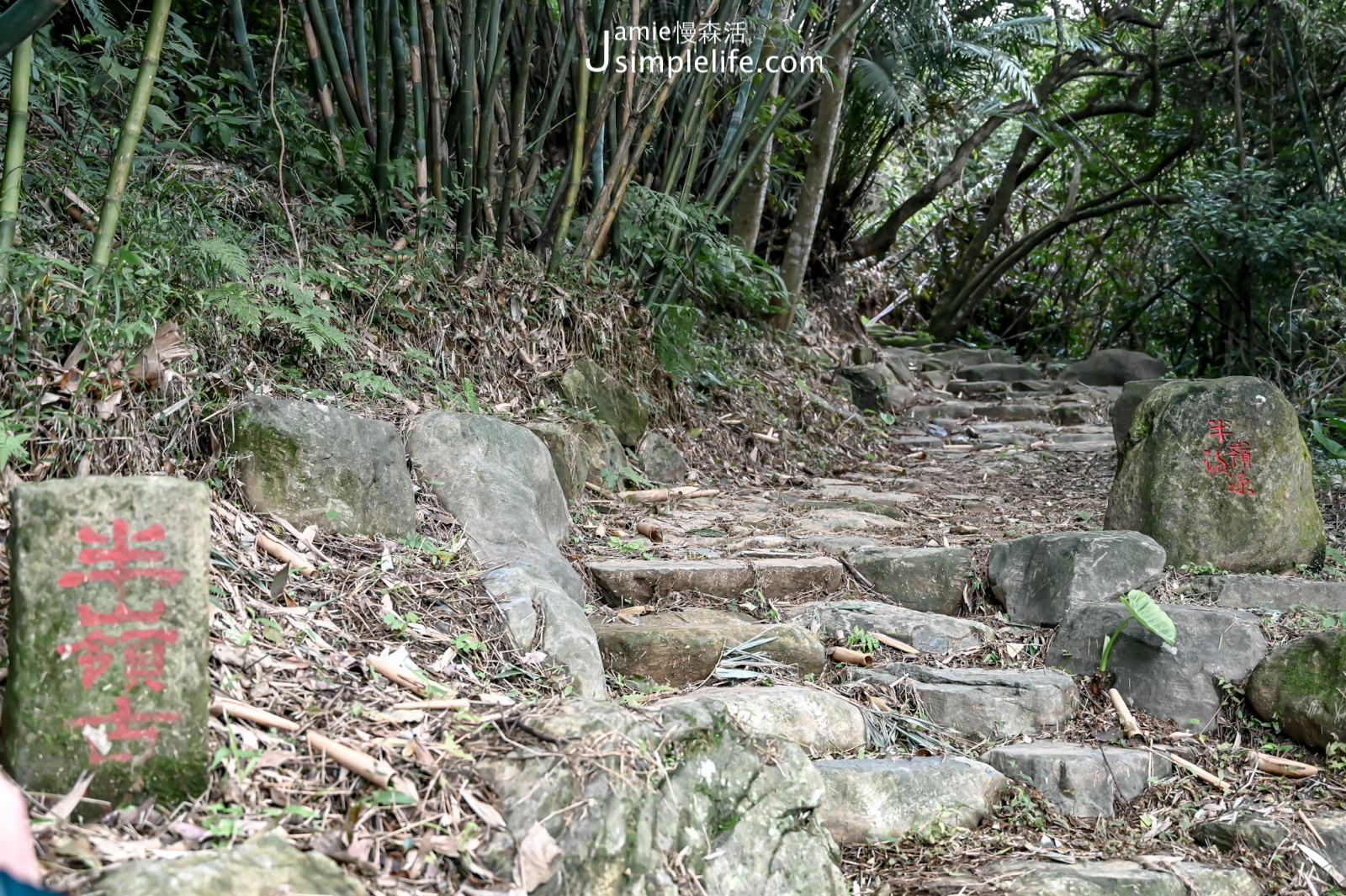 新北金山區 二百步古道 半嶺古