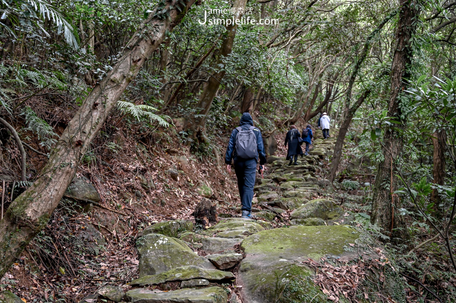 新北金山區 二百步古道 半嶺古