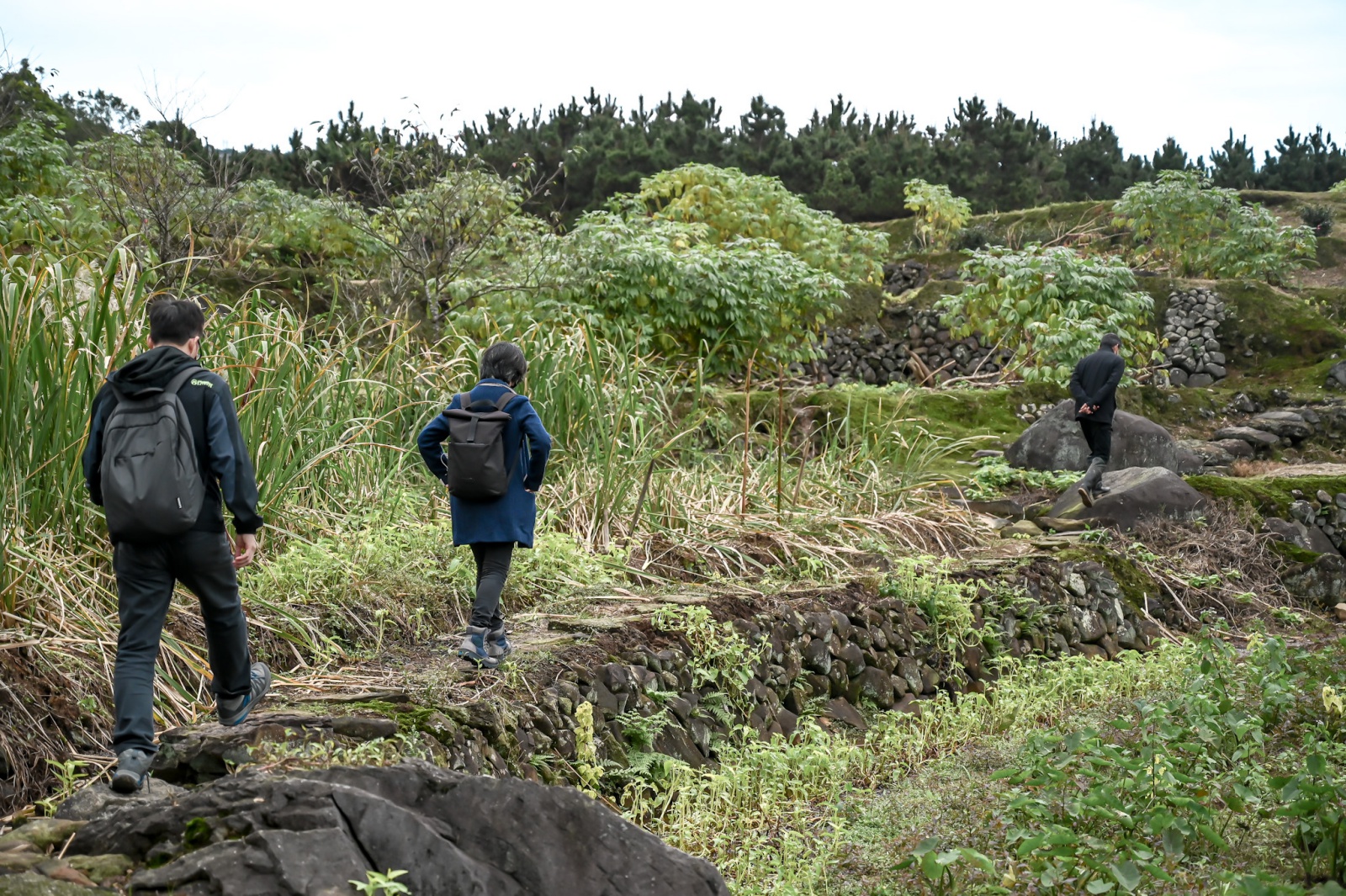 新北金山區三界壇路 