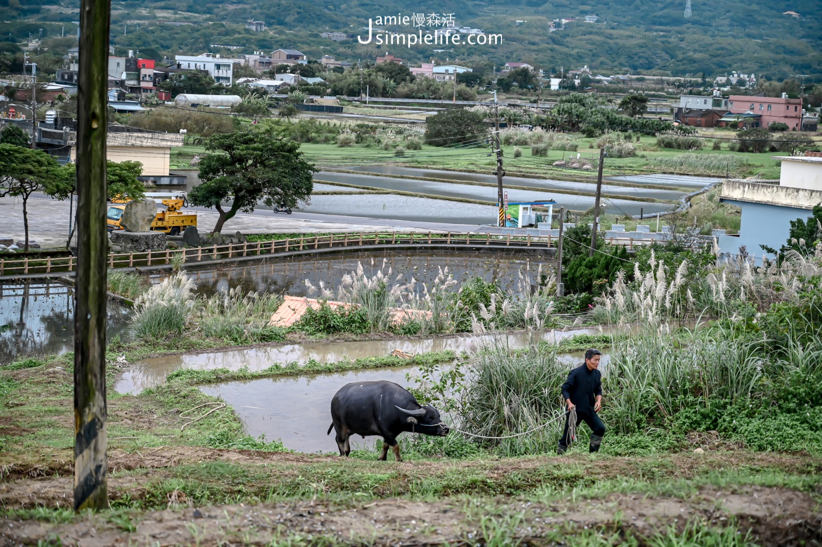 新北金山區 牛耕基地 六阿哥登場