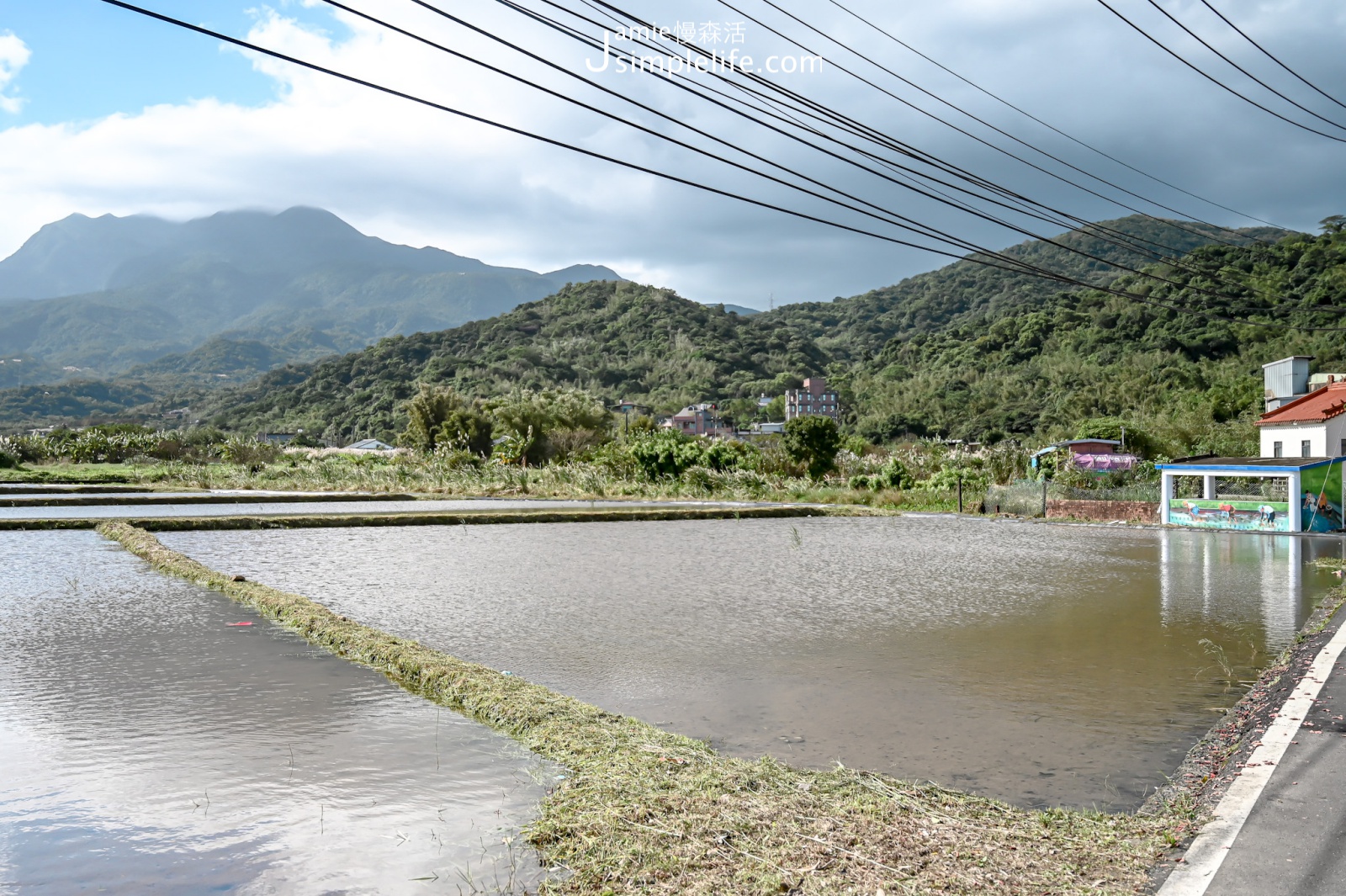 新北金山區 六三社區三界壇路旁的田野風光