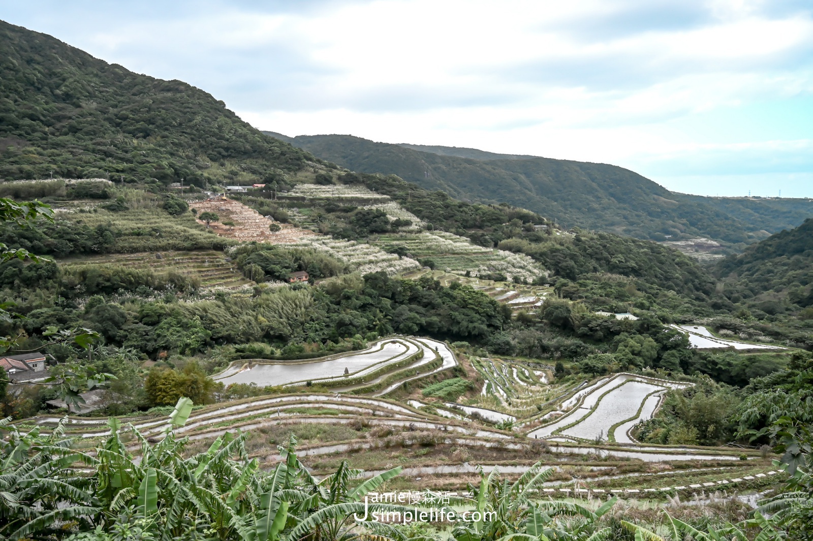 新北石門嵩山社區 百年梯田