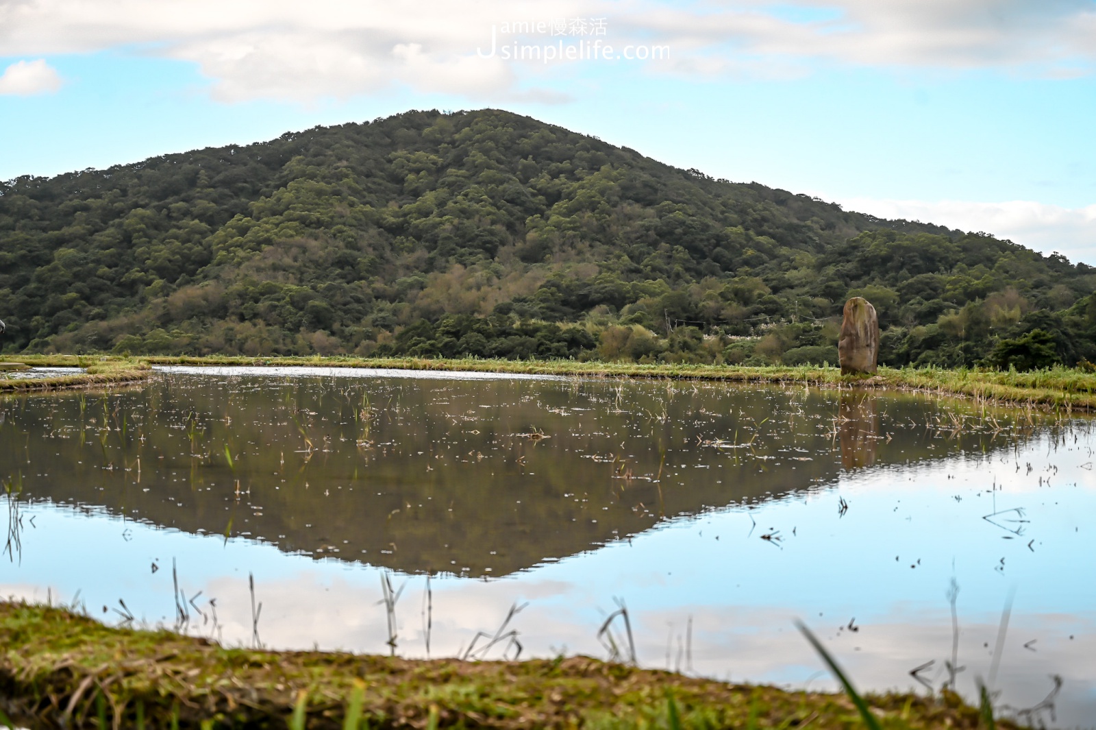 新北石門嵩山社區 百年梯田倒影