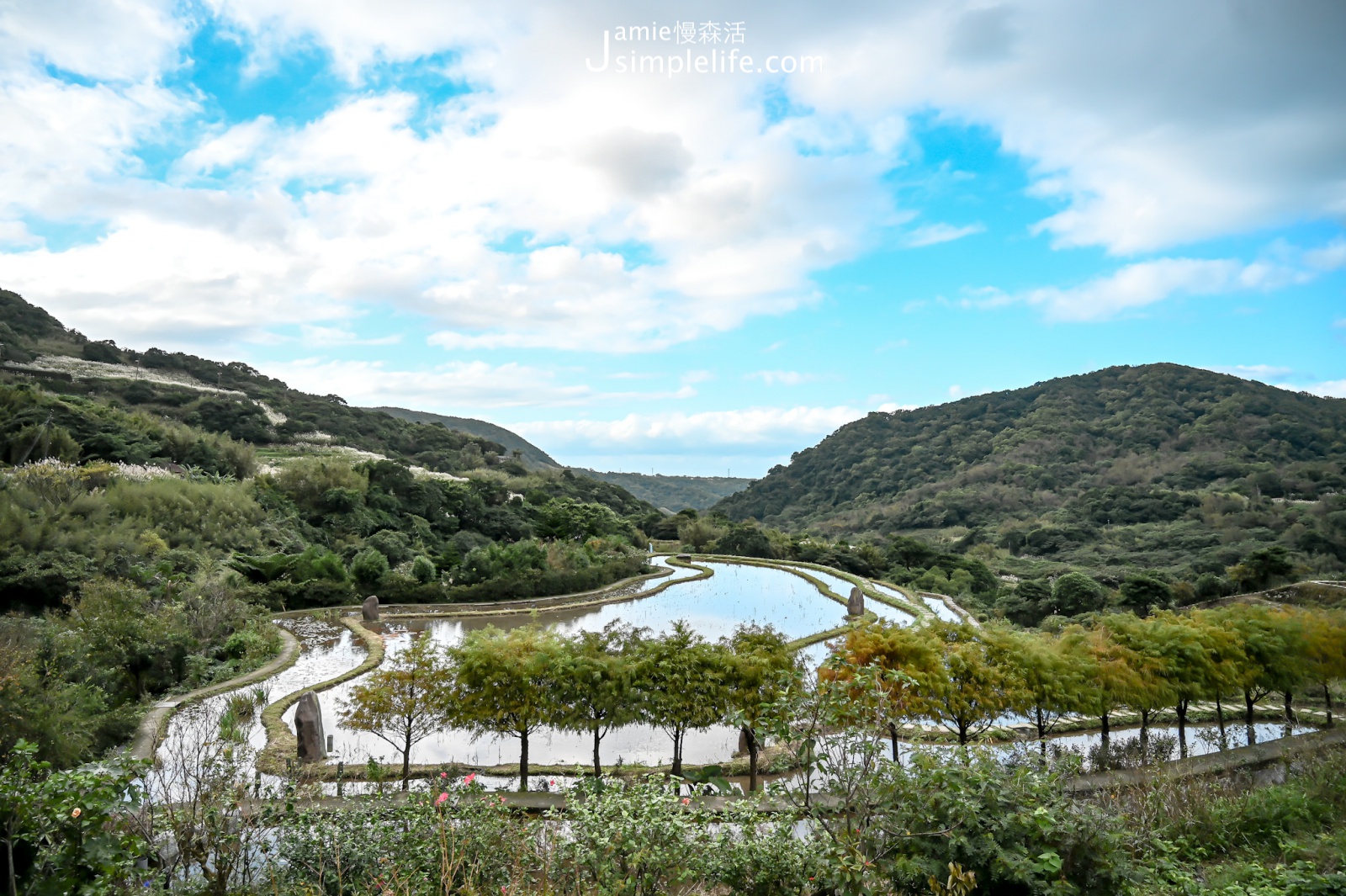 新北石門嵩山社區 百年水梯田