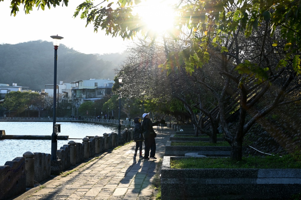 新竹關西鎮 牛欄河親水公園