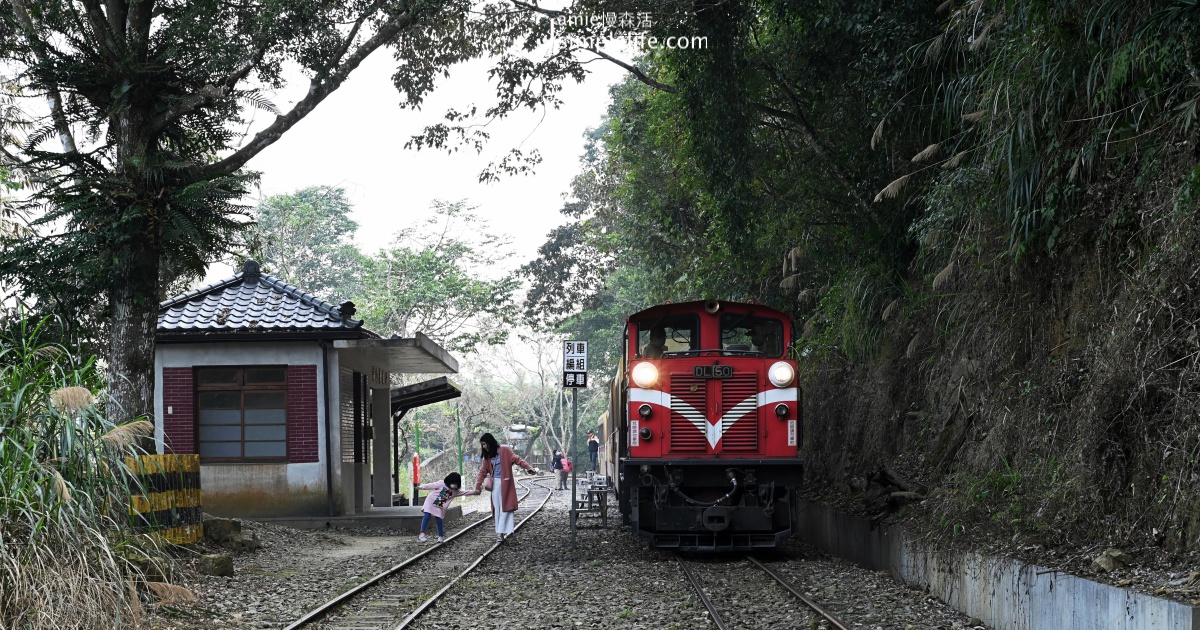 沒有站務員、沒有人員、沒有人為干擾，梨園寮車站默默無名的在這，有天然不受外在影響的生態資源，每年只要到5-6月，這裏就有滿滿螢火蟲，變得很不一樣，因此開始吸引許多攝影愛好者，下午3-4點就在洞口列隊歡迎，等候。