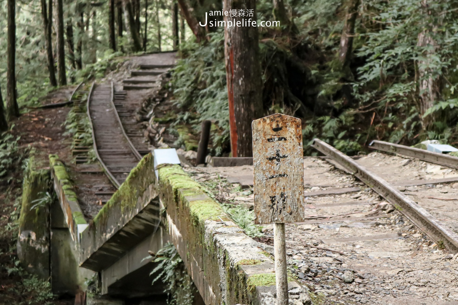 宜蘭太平山國家森林遊樂區 森林步道