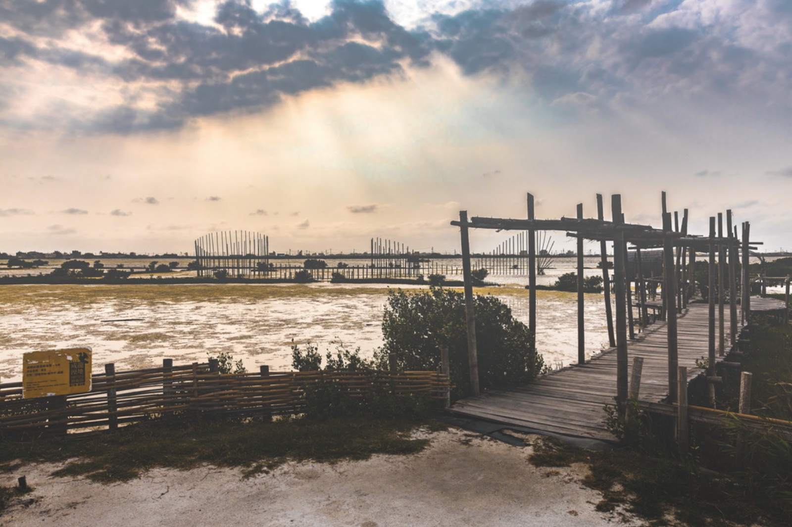 雲林口湖｜成龍溼地