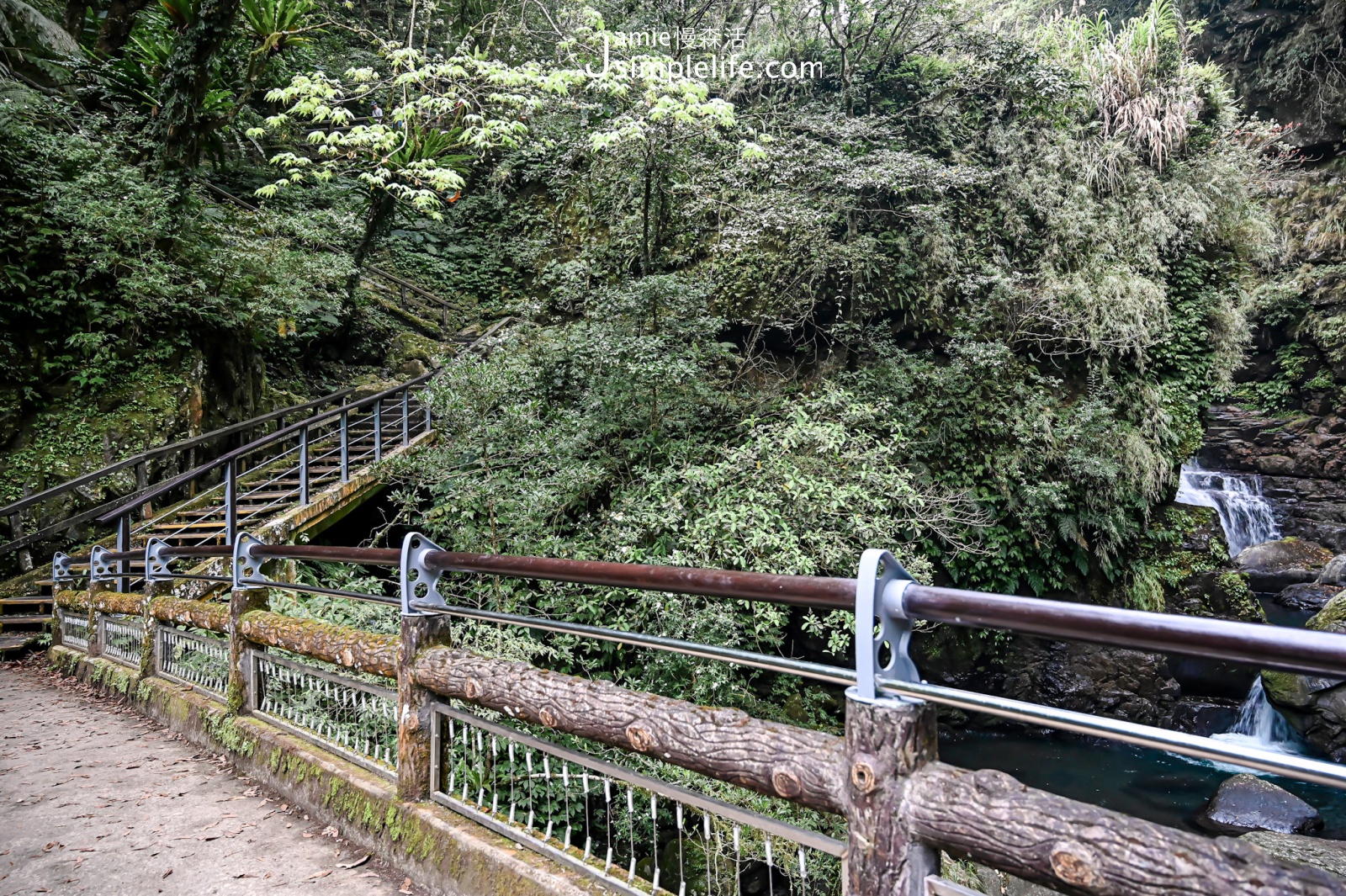 新北三峽區｜滿月圓國家森林遊樂區