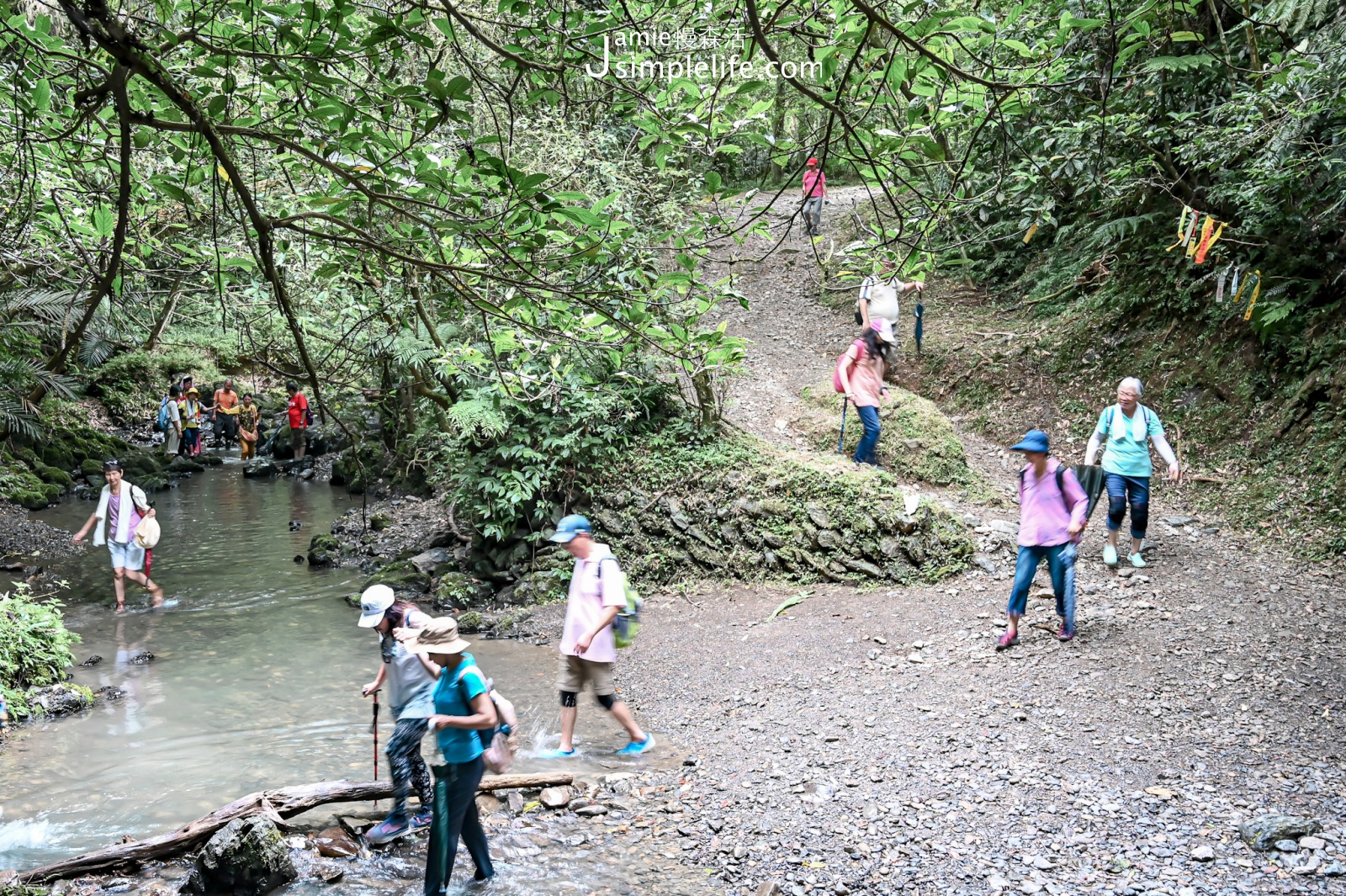 新北雙溪區｜坪溪古道