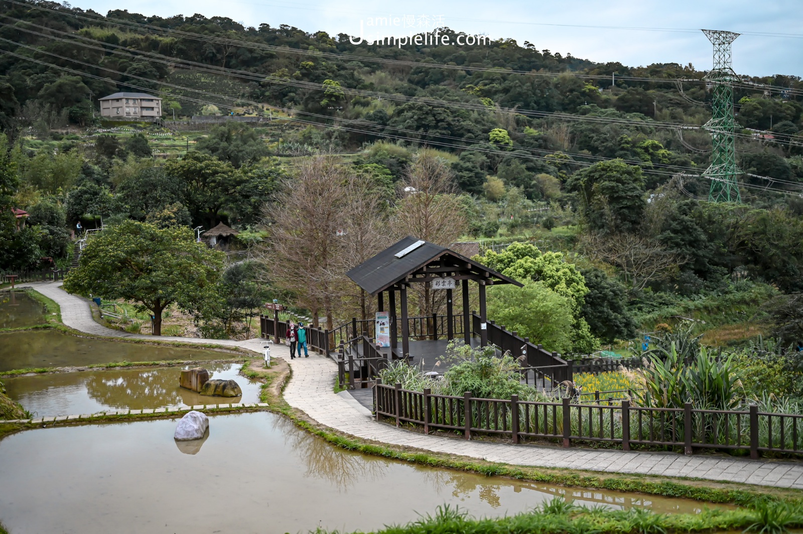 台北貓空 樟樹步道