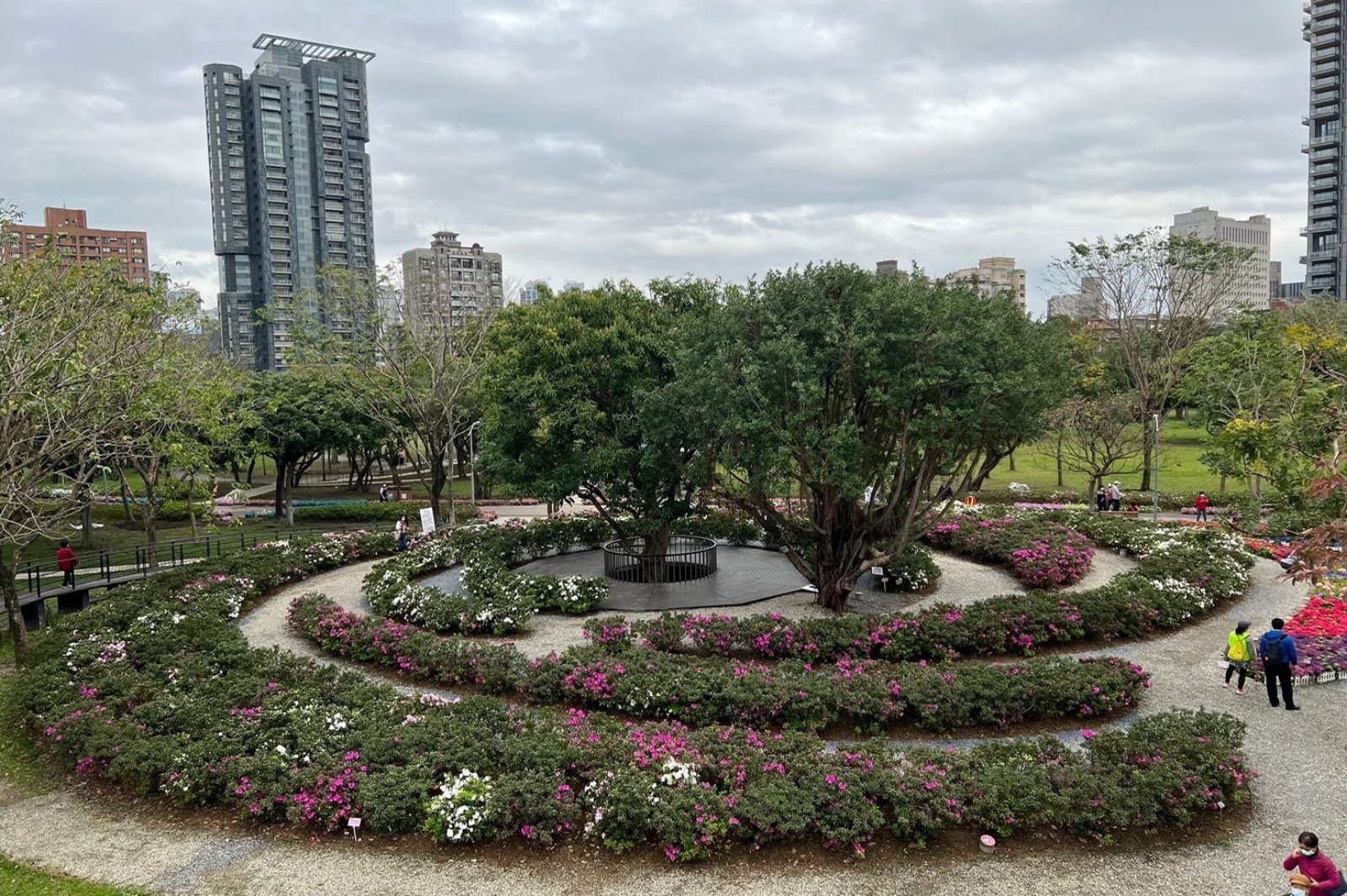 台北大安森林公園 浪漫花卉