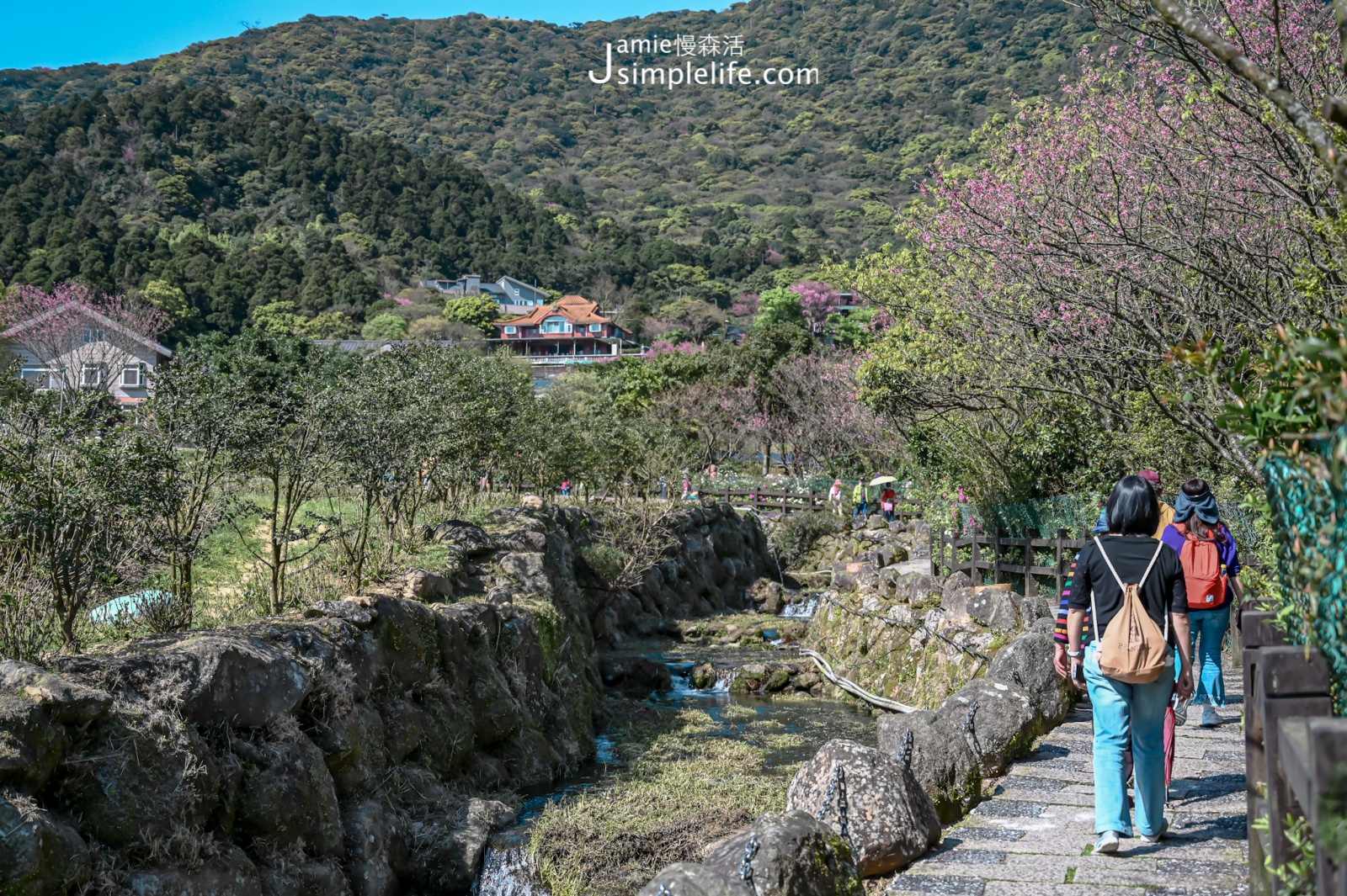 台北陽明山竹子湖賞花步道