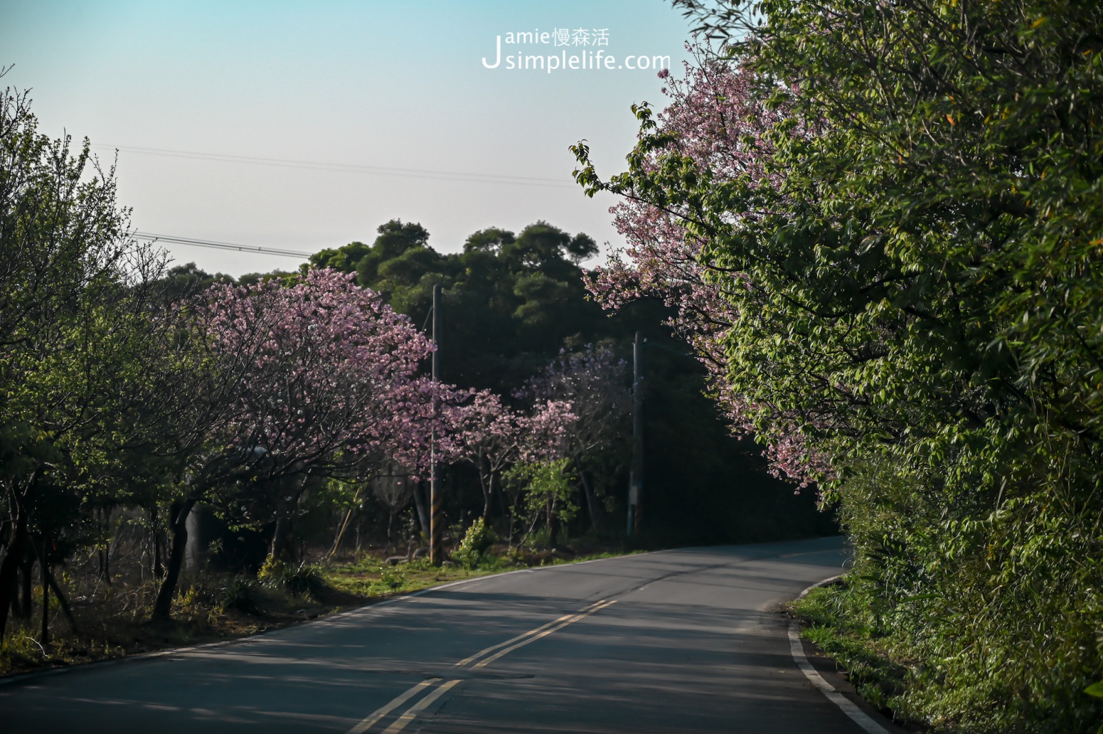 台北陽明山國家公園