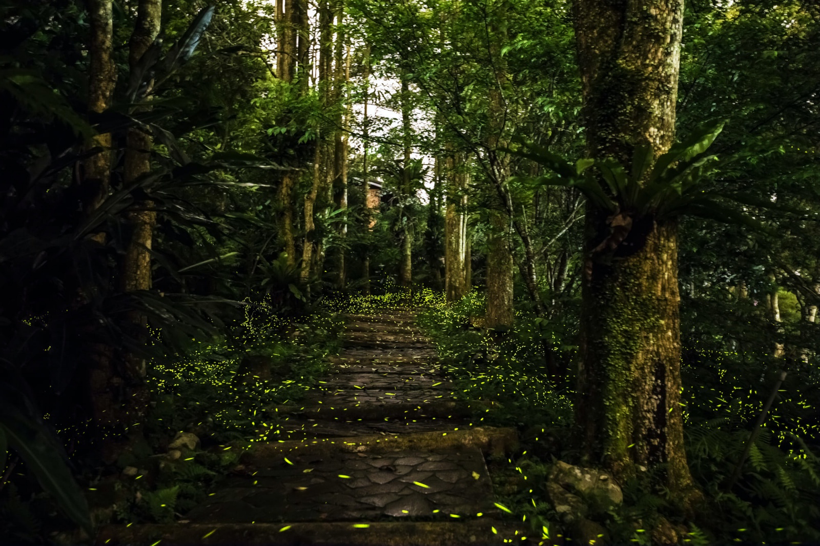 新北市農會文山農場